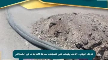 عاجل اليوم.. الأمن يقبض على لصوص سرقة الكابلات في الضواحي